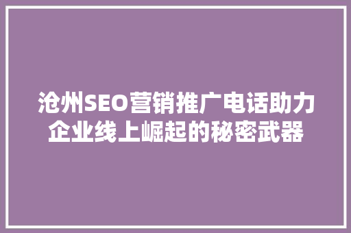 沧州SEO营销推广电话助力企业线上崛起的秘密武器