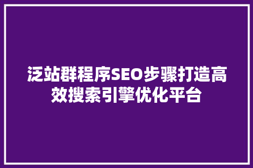 泛站群程序SEO步骤打造高效搜索引擎优化平台