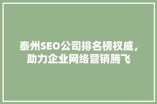 泰州SEO公司排名榜权威，助力企业网络营销腾飞
