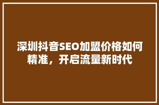 深圳抖音SEO加盟价格如何精准，开启流量新时代
