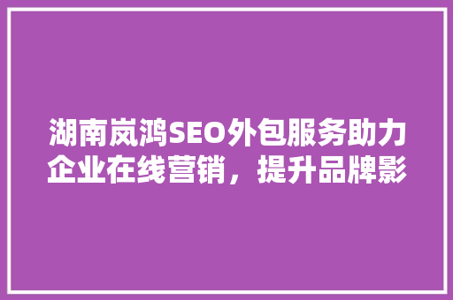 湖南岚鸿SEO外包服务助力企业在线营销，提升品牌影响力