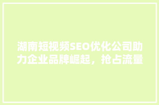 湖南短视频SEO优化公司助力企业品牌崛起，抢占流量高地
