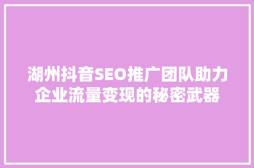 湖州抖音SEO推广团队助力企业流量变现的秘密武器
