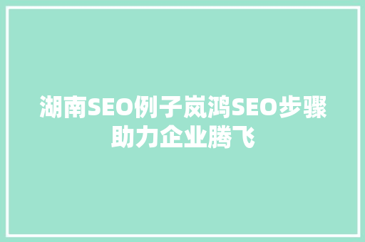 湖南SEO例子岚鸿SEO步骤助力企业腾飞