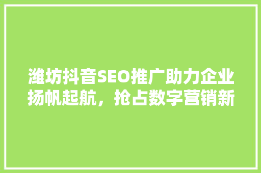 潍坊抖音SEO推广助力企业扬帆起航，抢占数字营销新风口