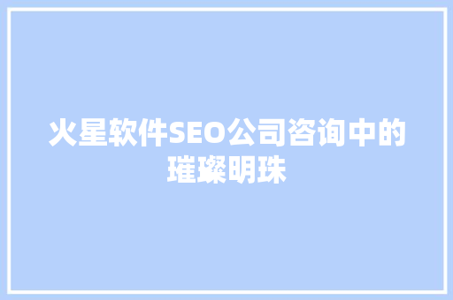火星软件SEO公司咨询中的璀璨明珠