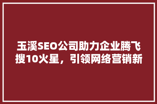 玉溪SEO公司助力企业腾飞搜10火星，引领网络营销新潮流