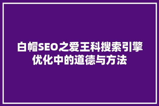 白帽SEO之爱王科搜索引擎优化中的道德与方法