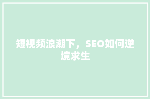 短视频浪潮下，SEO如何逆境求生