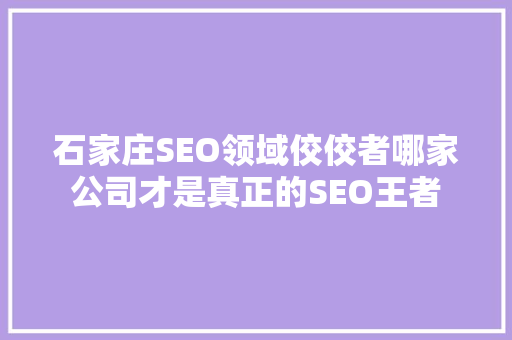 石家庄SEO领域佼佼者哪家公司才是真正的SEO王者