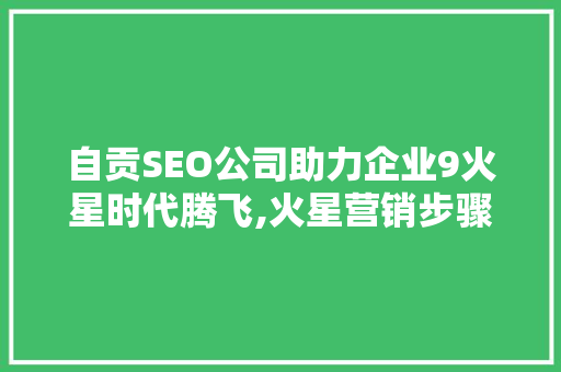 自贡SEO公司助力企业9火星时代腾飞,火星营销步骤