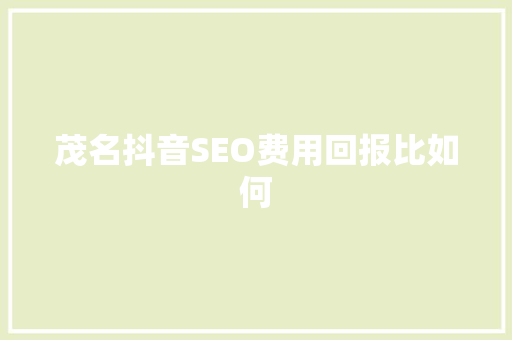 茂名抖音SEO费用回报比如何