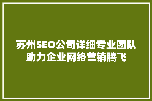 苏州SEO公司详细专业团队助力企业网络营销腾飞