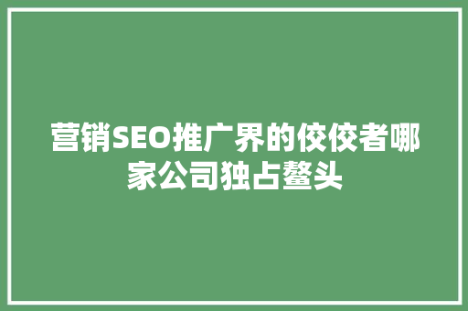 营销SEO推广界的佼佼者哪家公司独占鳌头