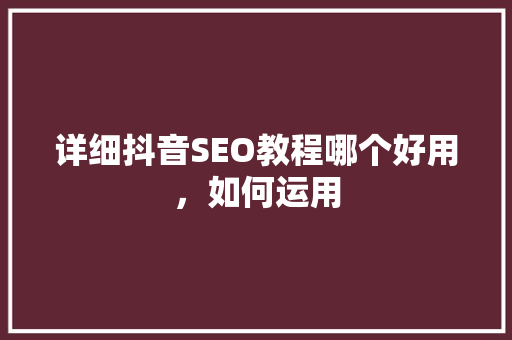 详细抖音SEO教程哪个好用，如何运用