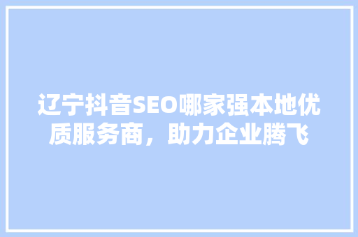 辽宁抖音SEO哪家强本地优质服务商，助力企业腾飞