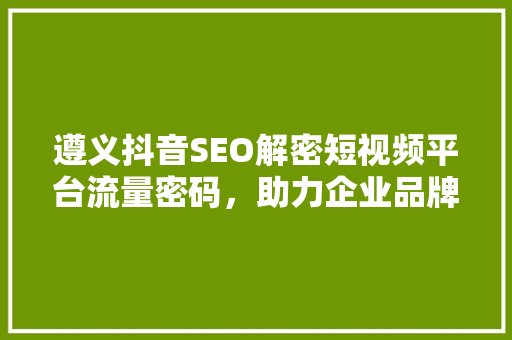 遵义抖音SEO解密短视频平台流量密码，助力企业品牌腾飞