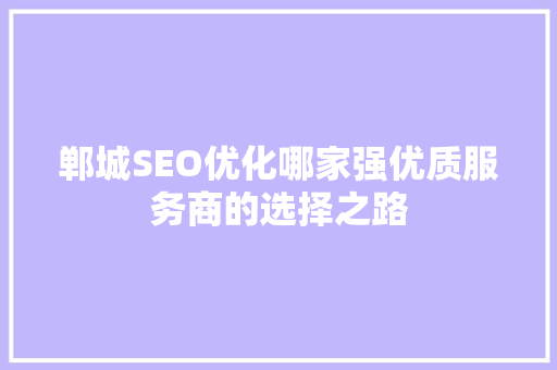 郸城SEO优化哪家强优质服务商的选择之路