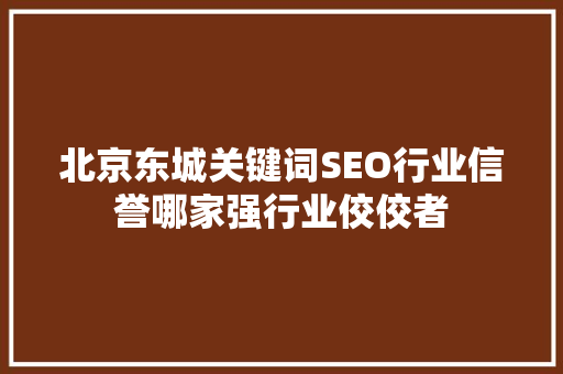 北京东城关键词SEO行业信誉哪家强行业佼佼者