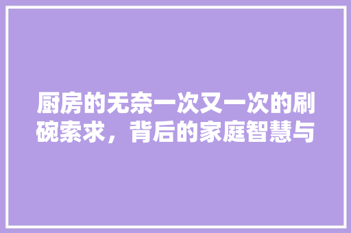 厨房的无奈一次又一次的刷碗索求，背后的家庭智慧与艺术