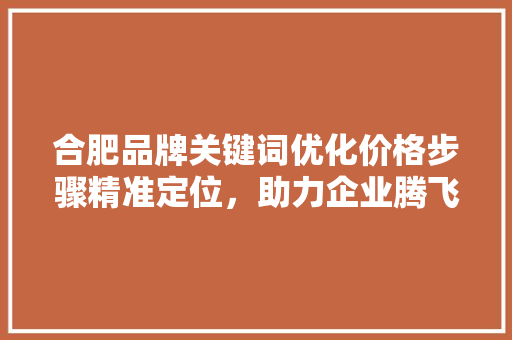 合肥品牌关键词优化价格步骤精准定位，助力企业腾飞