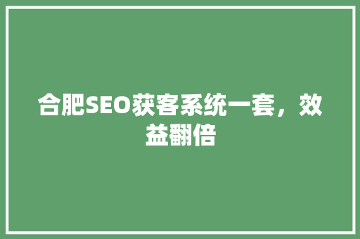 合肥SEO获客系统一套，效益翻倍