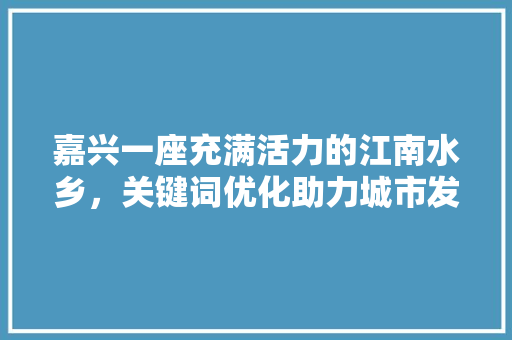 嘉兴一座充满活力的江南水乡，关键词优化助力城市发展