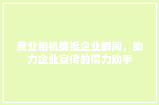 商业相机捕捉企业瞬间，助力企业宣传的得力助手