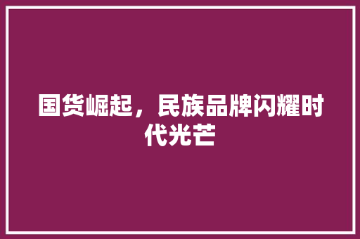 国货崛起，民族品牌闪耀时代光芒