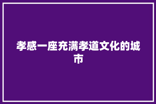 孝感一座充满孝道文化的城市