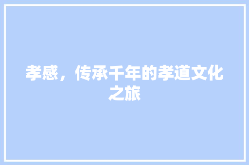 孝感，传承千年的孝道文化之旅