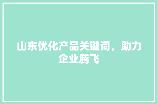 山东优化产品关键词，助力企业腾飞