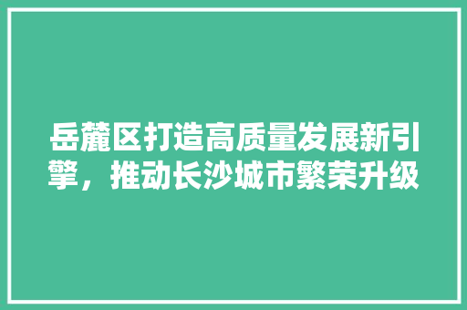岳麓区打造高质量发展新引擎，推动长沙城市繁荣升级