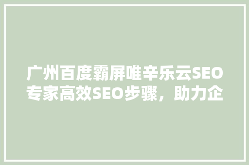 广州百度霸屏唯辛乐云SEO专家高效SEO步骤，助力企业抢占市场先机