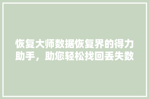 恢复大师数据恢复界的得力助手，助您轻松找回丢失数据