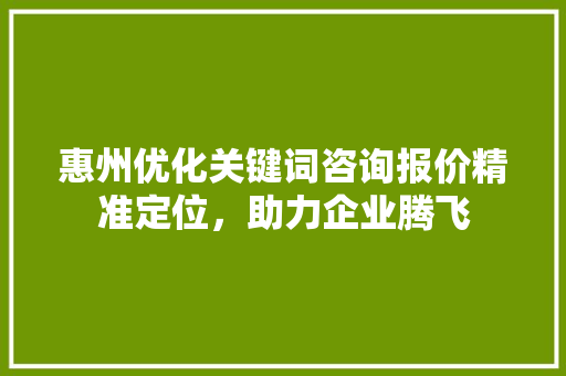 惠州优化关键词咨询报价精准定位，助力企业腾飞