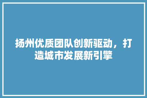 扬州优质团队创新驱动，打造城市发展新引擎