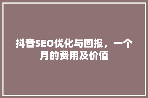 抖音SEO优化与回报，一个月的费用及价值