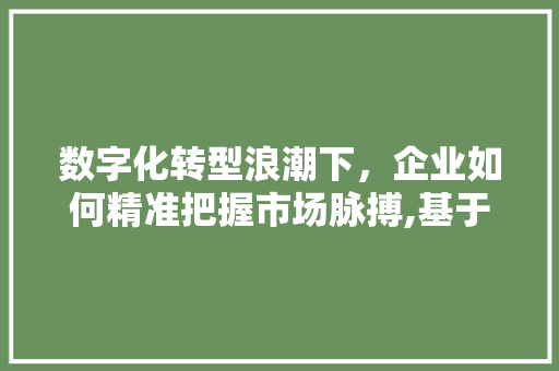 数字化转型浪潮下，企业如何精准把握市场脉搏,基于关键词优化的步骤讨论