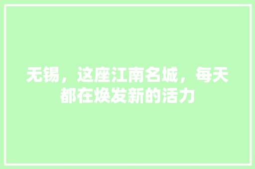 无锡，这座江南名城，每天都在焕发新的活力