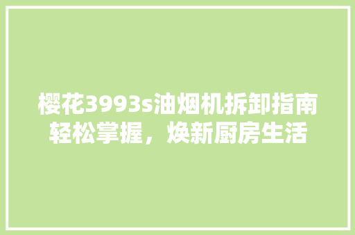 樱花3993s油烟机拆卸指南轻松掌握，焕新厨房生活
