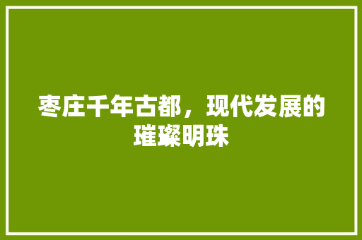 枣庄千年古都，现代发展的璀璨明珠
