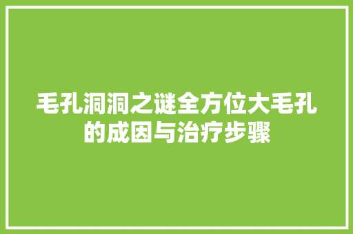 毛孔洞洞之谜全方位大毛孔的成因与治疗步骤