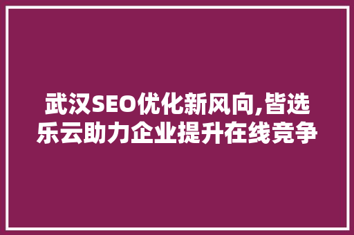 武汉SEO优化新风向,皆选乐云助力企业提升在线竞争力