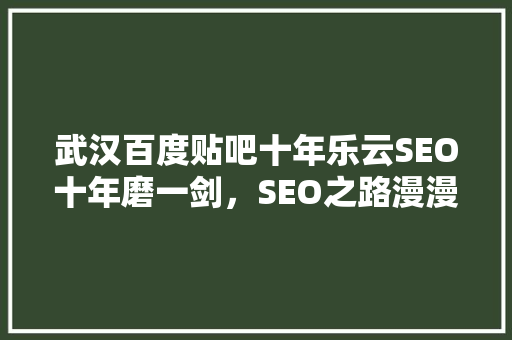 武汉百度贴吧十年乐云SEO十年磨一剑，SEO之路漫漫
