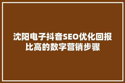 沈阳电子抖音SEO优化回报比高的数字营销步骤