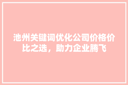 池州关键词优化公司价格价比之选，助力企业腾飞