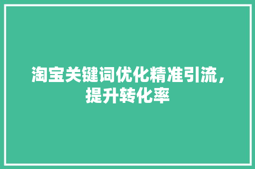 淘宝关键词优化精准引流，提升转化率