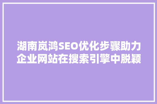 湖南岚鸿SEO优化步骤助力企业网站在搜索引擎中脱颖而出