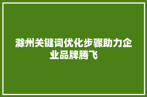 滁州关键词优化步骤助力企业品牌腾飞